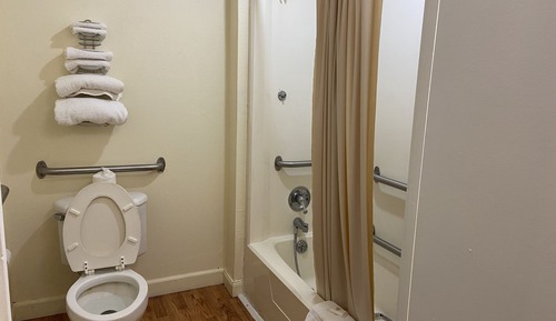 Room, 1 King Bed, Accessible, Smoking