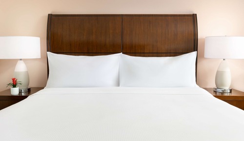 Room, 1 King Bed, Accessible, Bathtub