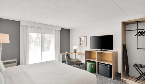 Room, 1 King Bed, Accessible, Bathtub (Mobility & Hearing)