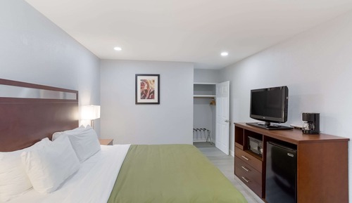 Standard Room, 1 King Bed, Non Smoking