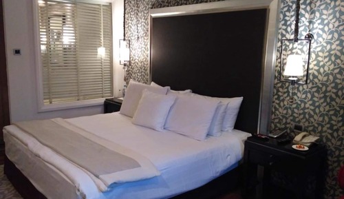 Rajputana Royale, Club lounge access, Double, Pool view