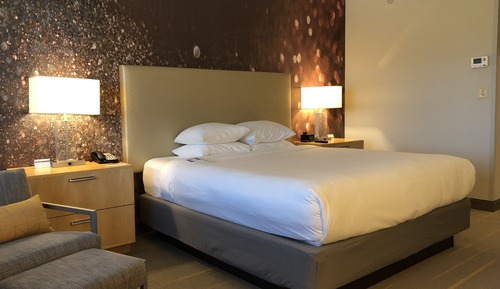 Room, 1 King Bed (High Floor)