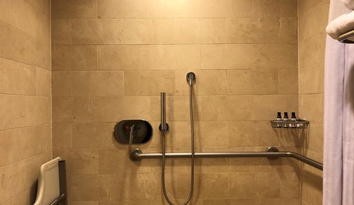 Room, 1 King Bed, Accessible, Bathtub