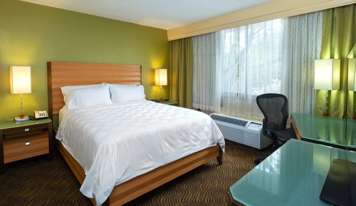 Standard Room, 1 Queen Bed, Mobility Accessible (Mobility, Accessible Tub)