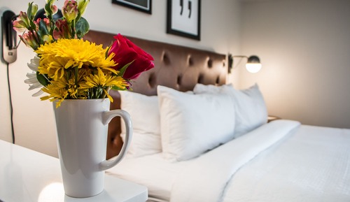 Room, 1 King Bed with Sofa bed, Park View (Hearing Accessible)