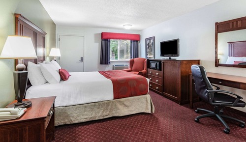 Room, 1 Queen Bed, Accessible, Non Smoking (Mobility,tub w grab bars)