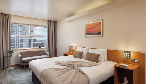 Executive Room (Solo)