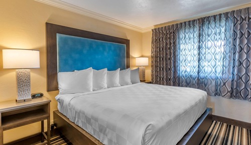 Standard Room, 1 King Bed, Non Smoking