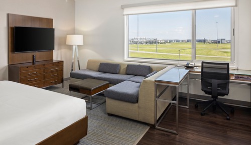 Studio, 1 King Bed with Sofa bed