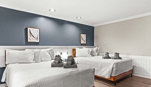 Premium Quadruple Room