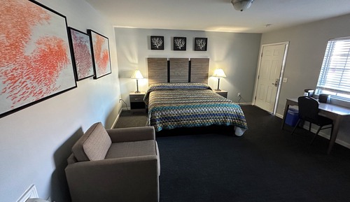 Room, 1 King Bed (Pet Friendly)