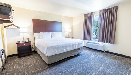 Suite, 1 King Bed with Sofa bed, Non Smoking