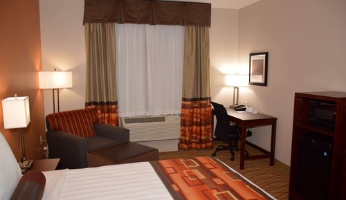 Standard Room, 1 King Bed, Accessible, Non Smoking (Walk-in Shower)