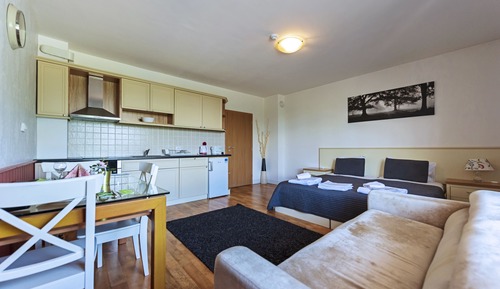 Family Studio (2 adults + 1 child)