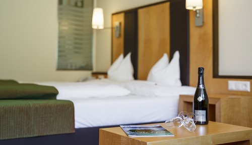 Classic Double Room, Balcony (Wald & Wiese)