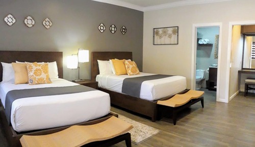 Standard Double Room, Accessible, Garden View