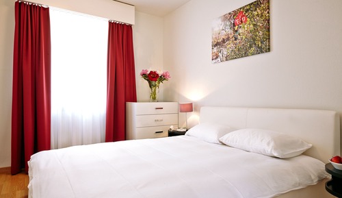 Business 1-Bedroom Apartment