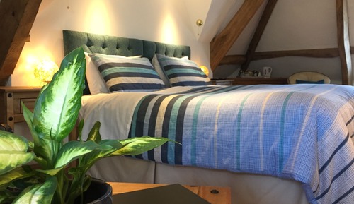 Premium Twin Room