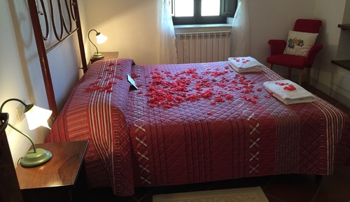 Basic Apartment, 1 Bedroom