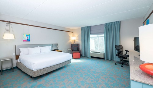 Room, 1 King Bed, Accessible, Non Smoking (Roll-in Shower)