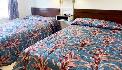 Standard Single Room, 1 King Bed, Non Smoking