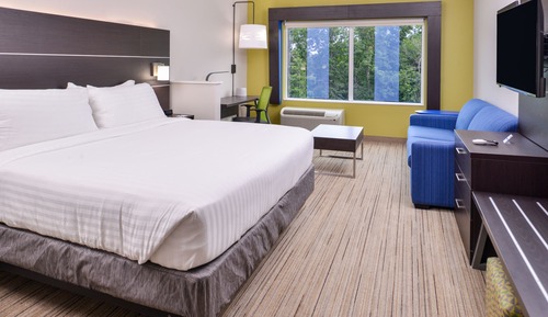 Suite, 1 King Bed with Sofa bed