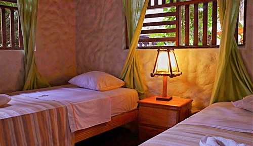 Twin Room, Garden View