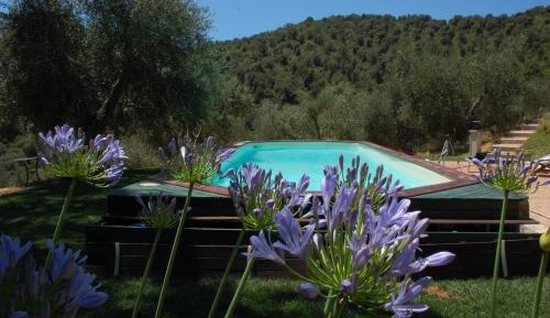 Double Room with Garden View