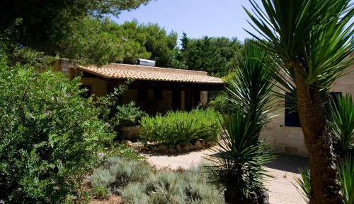 One-Bedroom Cottage (3 Adults)