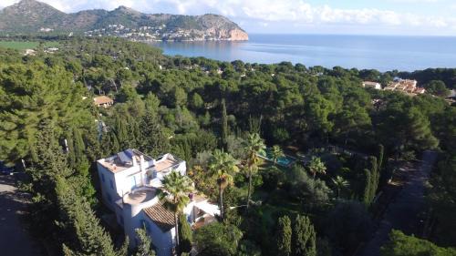 Superior Villa