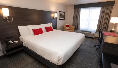 King Room