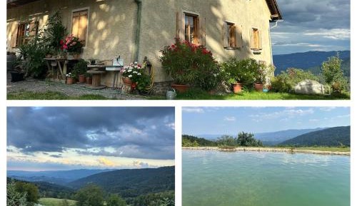 One-Bedroom Apartment with View