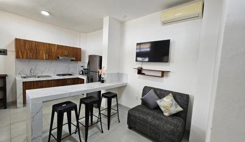 Deluxe One-Bedroom Apartment