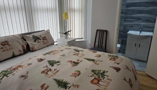 Double or Twin Room with Private Bathroom