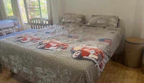Single Bed in Mixed Dormitory Room