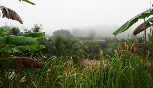 Double Room with Lake View