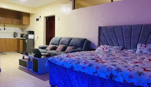 Studio Apartment with King Bed