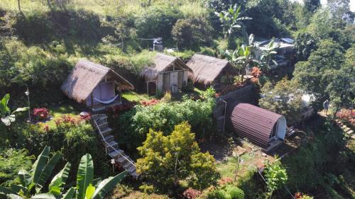 Deluxe Bungalow
