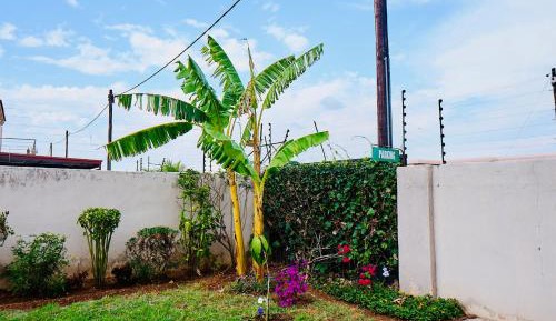 Suite with Garden View