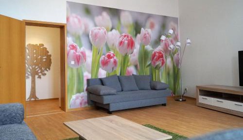 One-Bedroom Apartment with Shower