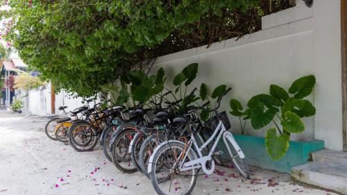 Double Room with Patio