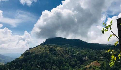 Family Room with Mountain View