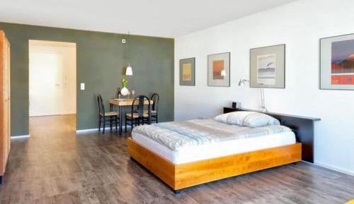 Superior One-Bedroom Apartment