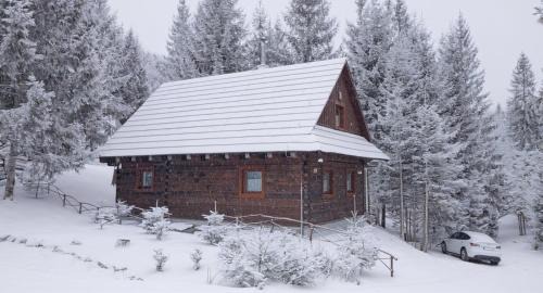 Two-Bedroom Chalet