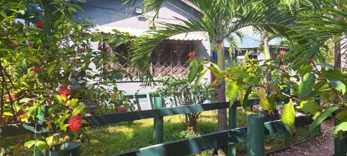 King Room with Garden View