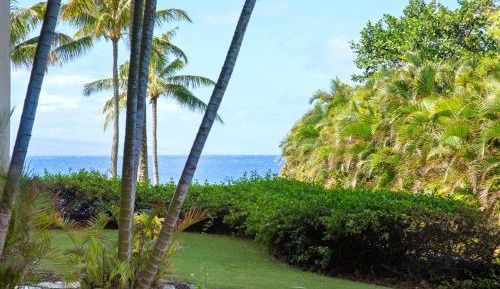 Six-Bedroom Apartment