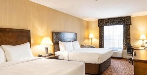 Superior Queen Room with Two Queen Beds