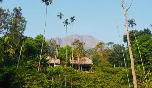 King Room with Spa Bath