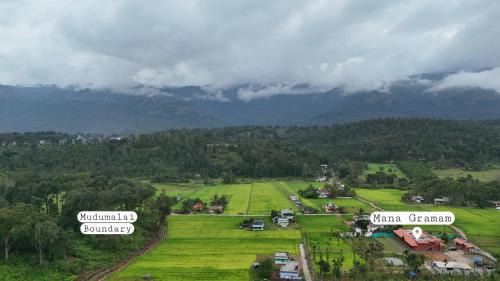 Premium Quadruple Room