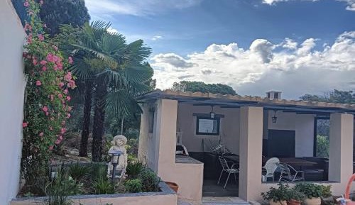 Superior Apartment with Balcony